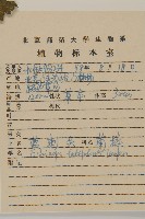 藍刺頭藏品圖，第2張