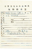 赤瓟藏品圖，第2張