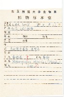 狗娃花藏品圖，第2張