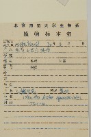 山白蘭藏品圖，第2張