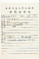 日本菟絲子藏品圖，第2張