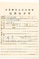 腺梗豨薟藏品圖，第2張