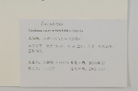 阿里山鬼督郵藏品圖，第2張