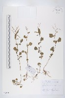 登錄號:S131102藏品圖，第1張