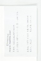 菱葉柿藏品圖，第4張