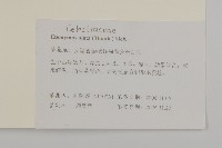 衛矛、錦木藏品圖，第2張