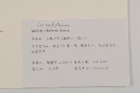 中國繁縷藏品圖，第2張