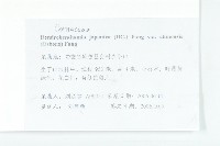 四照花藏品圖，第2張