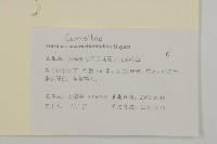 阿里山鬼督郵藏品圖，第2張