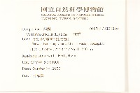 一枝香藏品圖，第2張