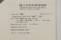 地膽草、毛蓮菜藏品圖，第2張