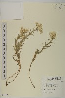 登錄號:S131317藏品圖，第1張