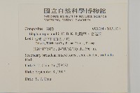 地膽草、毛蓮菜藏品圖，第2張