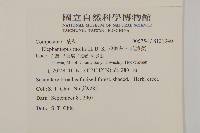 地膽草、毛蓮菜藏品圖，第2張