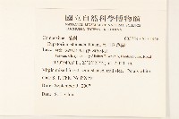 島田氏澤蘭藏品圖，第2張