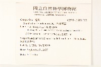 秋鼠麴草藏品圖，第2張