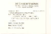 台東黃菀藏品圖，第2張