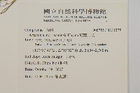 細葉山艾藏品圖，第2張