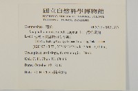 玉山抱莖籟簫藏品圖，第2張