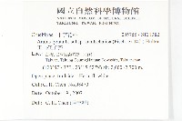 玉山筷子芥藏品圖，第2張