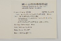 瓜槌草、漆姑草藏品圖，第2張