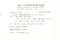 蔓黃菀藏品圖，第2張