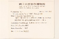 蔓澤蘭藏品圖，第2張