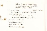 小葉瑞木藏品圖，第2張