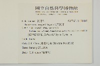 刺果衛矛藏品圖，第2張