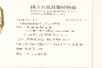 一枝香藏品圖，第2張