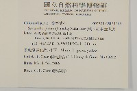 草珊瑚、紅果金粟蘭藏品圖，第2張