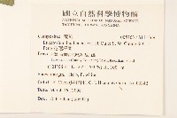 花蓮澤蘭藏品圖，第2張