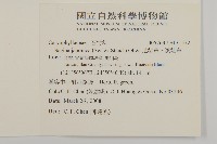 瓜槌草、漆姑草藏品圖，第2張