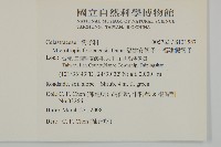 福建賽衛矛、福建假衛矛藏品圖，第2張