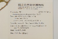 森氏菊藏品圖，第2張