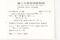 星果佛甲草藏品圖，第2張