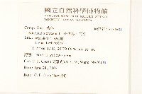 苦滇菜、苦菜藏品圖，第2張