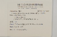 蘄艾、芙蓉菊藏品圖，第2張