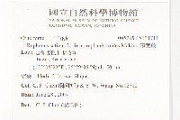 濱萊菔藏品圖，第2張