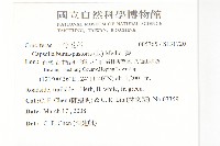 薺藏品圖，第2張