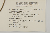 臺灣及己藏品圖，第2張