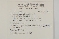 南國小薊藏品圖，第2張