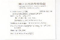 銳葉牽牛藏品圖，第2張