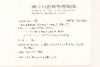 細葉剪刀股藏品圖，第2張