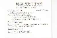 小葶藶藏品圖，第2張