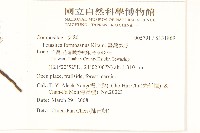 臺灣款冬藏品圖，第2張