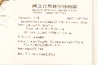 刀傷草藏品圖，第2張