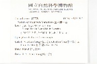 星果佛甲草藏品圖，第2張