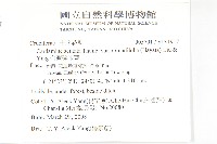 台灣碎米薺藏品圖，第2張