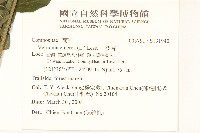 一枝香藏品圖，第2張